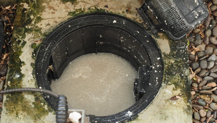 How Bacteria Break Down Waste in a Septic Tank